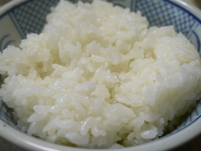 Cozinhar arroz e guardar para o dia seguinte pode gerar bactéria que prejudica a saúde
