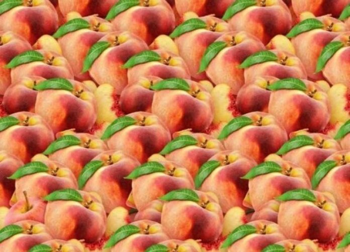 Encontre 1 maçã, a maioria não consegue em 10 segundos