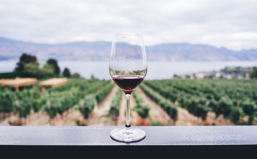 Tomar um bom vinho de vez em quando ajuda no stress e reduz a ansiedade