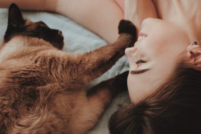 11 coisas que só os donos de gatos entendem