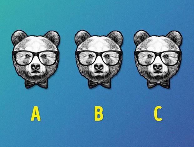 Encontre 1 urso diferente em 7 segundos, a maioria não consegue
