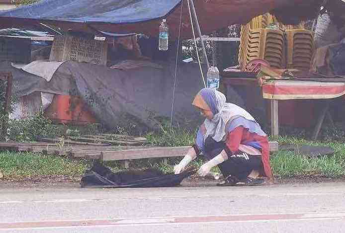 Mulher vê cão morto na estrada e decide dar a ele um enterro decente